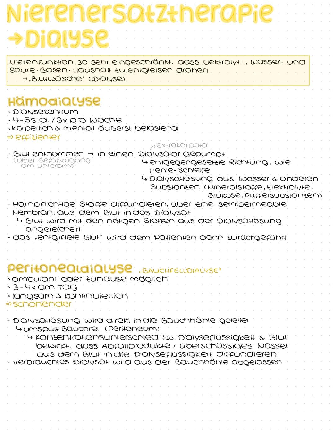 Harnsystem
Hohlvene
(Vena Cava)
Nebenniere
Nierenarterie
paarig angelegte Nieren &
ableitende Harnwege
(Harnleiter, Harnblase, Harnröhre)
Ha