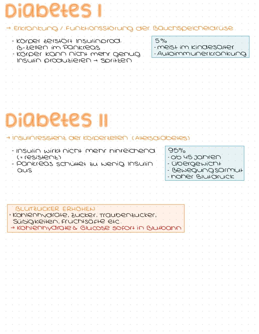 Bauchspeichelaruse
(Pankreas)
→ ca. na bis 18cm lang
→ S-Form
→ retroperitoneal im mittleren
bis linken Oberbauch
(auf Höhe des na 2. LW)
Ga