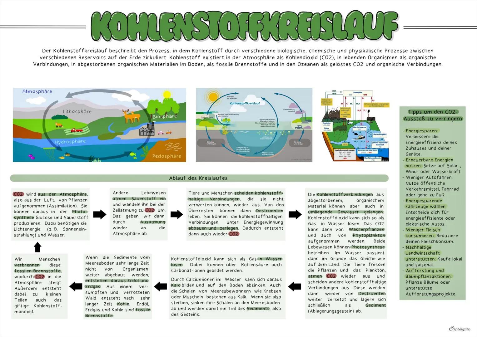 ÖKOLOGIE
2
@maiswon KOHLENSTOFFKREISLAUF
Der Kohlenstoffkreislauf beschreibt den Prozess, in dem Kohlenstoff durch verschiedene biologische,