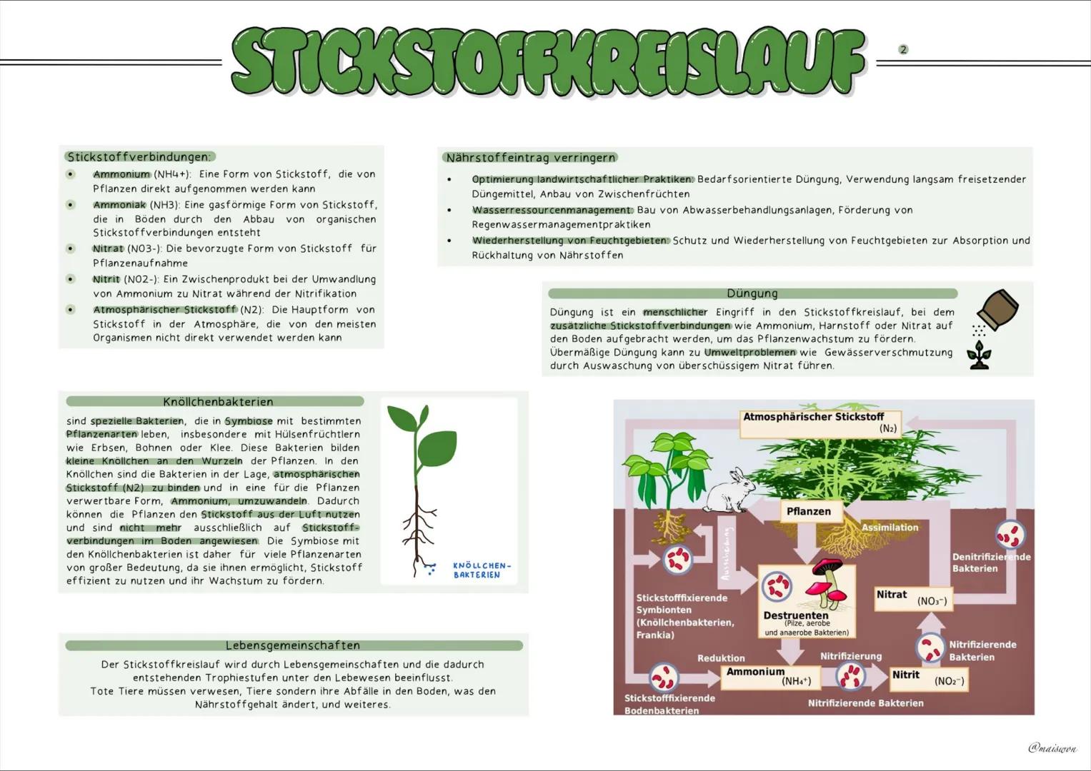 ÖKOLOGIE
2
@maiswon KOHLENSTOFFKREISLAUF
Der Kohlenstoffkreislauf beschreibt den Prozess, in dem Kohlenstoff durch verschiedene biologische,