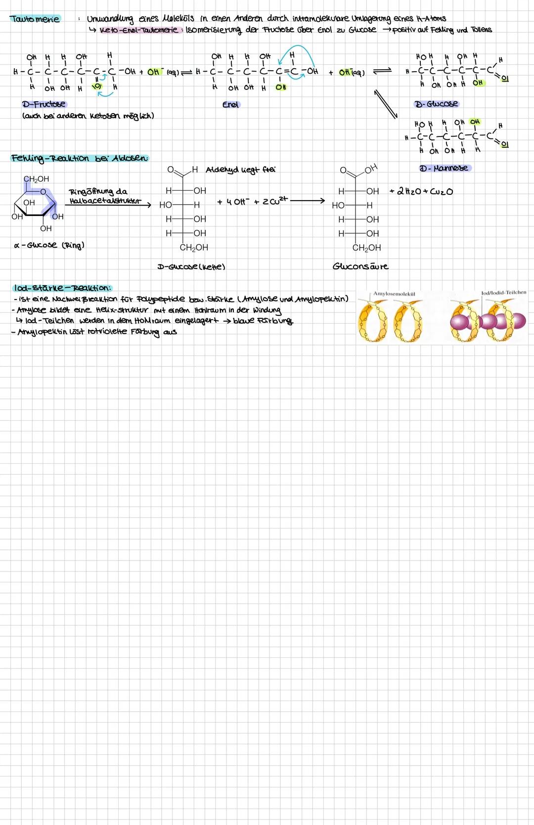 Kohlenhydrate
Cyclische Ringform
Ketosen
Monosaccharide
Disaccharide
offene kettenform
Aldosen
-besitzen eine Aldehydgruppe -besitzen eine k