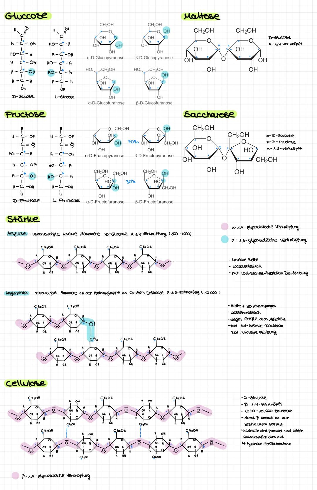 Kohlenhydrate
Cyclische Ringform
Ketosen
Monosaccharide
Disaccharide
offene kettenform
Aldosen
-besitzen eine Aldehydgruppe -besitzen eine k