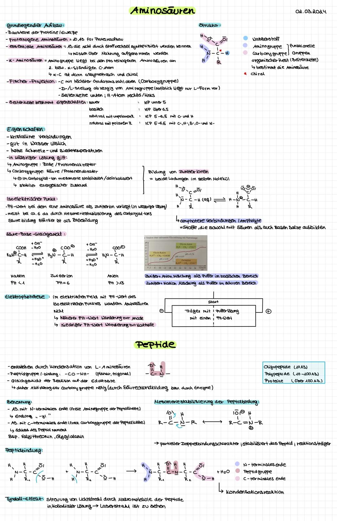 Kohlenhydrate
Cyclische Ringform
Ketosen
Monosaccharide
Disaccharide
offene kettenform
Aldosen
-besitzen eine Aldehydgruppe -besitzen eine k