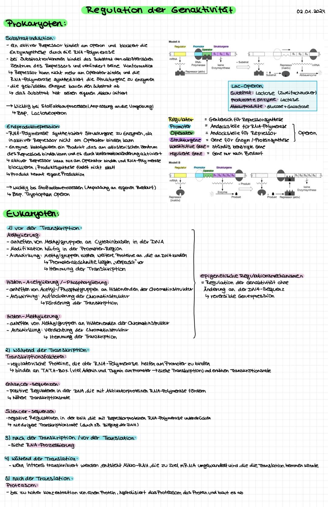 DNA-Aufbau
Watson-Crick-Modell.
-durch Röntgenstruktur analyse Entdeckung der DNA-Doppelhelix-Struktur
-DNA besteht aus zwei Einzelsträngen