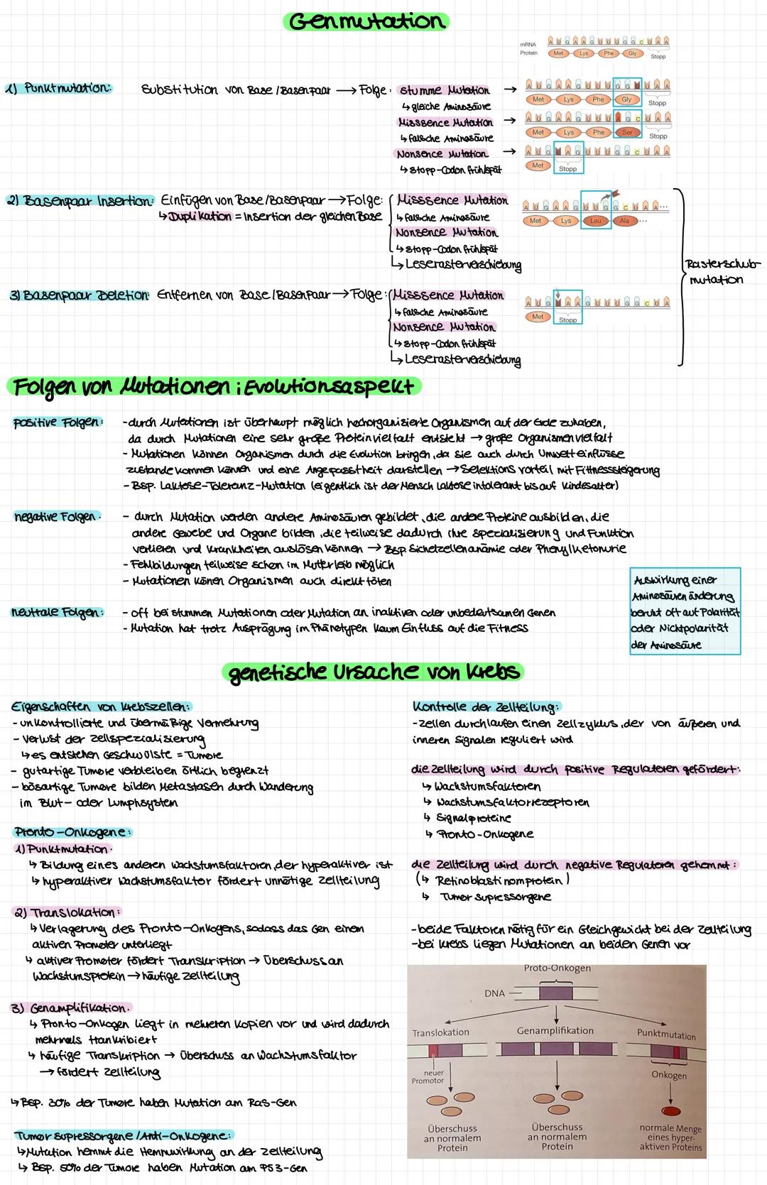 DNA-Aufbau
Watson-Crick-Modell.
-durch Röntgenstruktur analyse Entdeckung der DNA-Doppelhelix-Struktur
-DNA besteht aus zwei Einzelsträngen