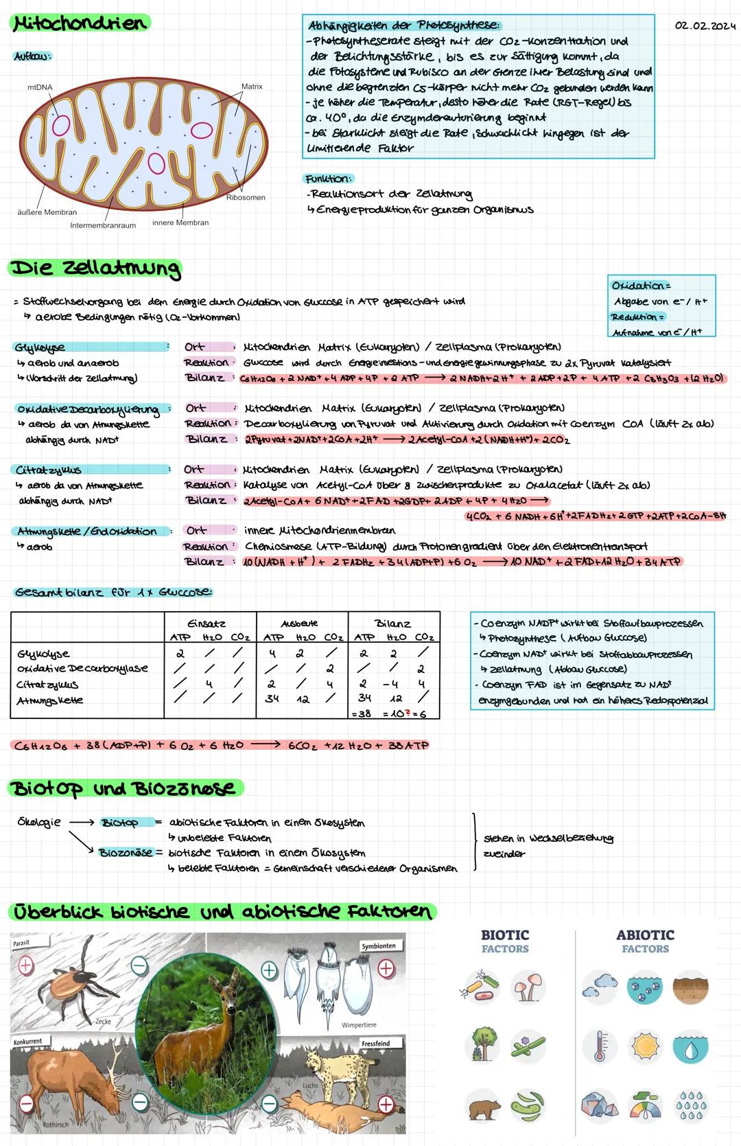 # Mesophyte Pflanzen
= zwischen Hygrophyten urol xerophyten kommen aun feuchten Orten vor i sind an Umgebung angepasst (werfen Blätter im W