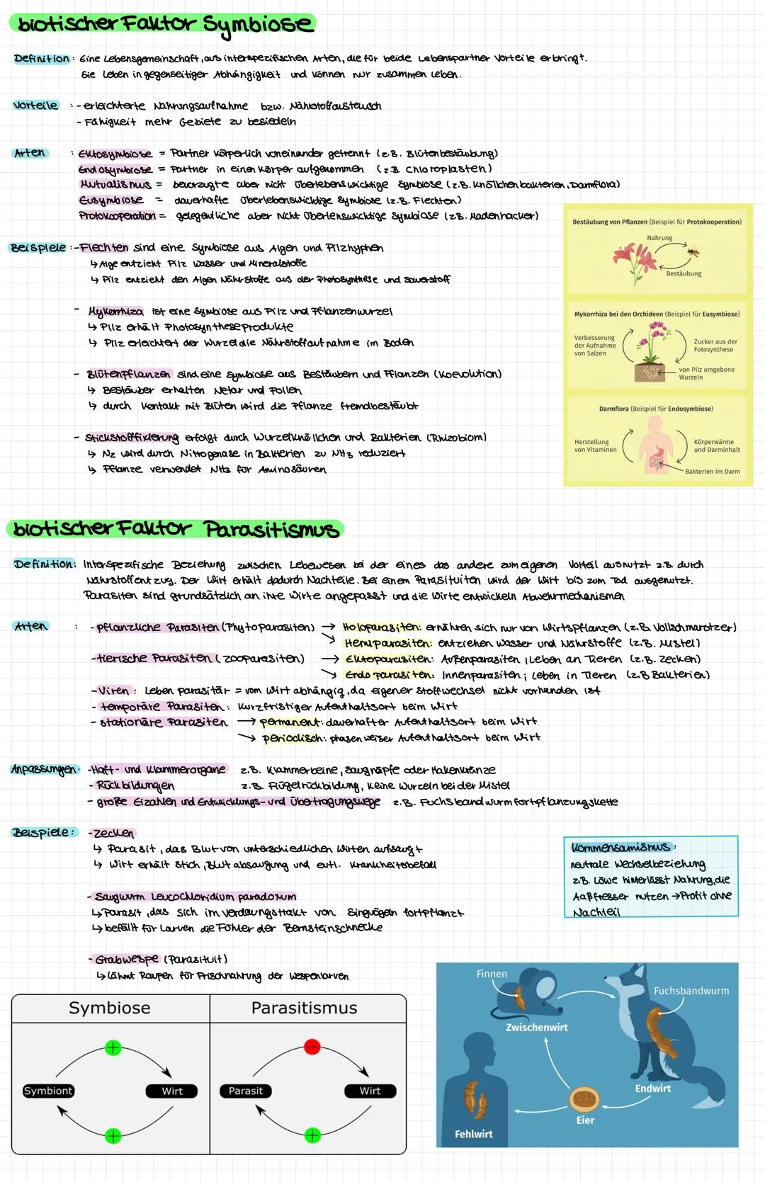 # Mesophyte Pflanzen
= zwischen Hygrophyten urol xerophyten kommen aun feuchten Orten vor i sind an Umgebung angepasst (werfen Blätter im W