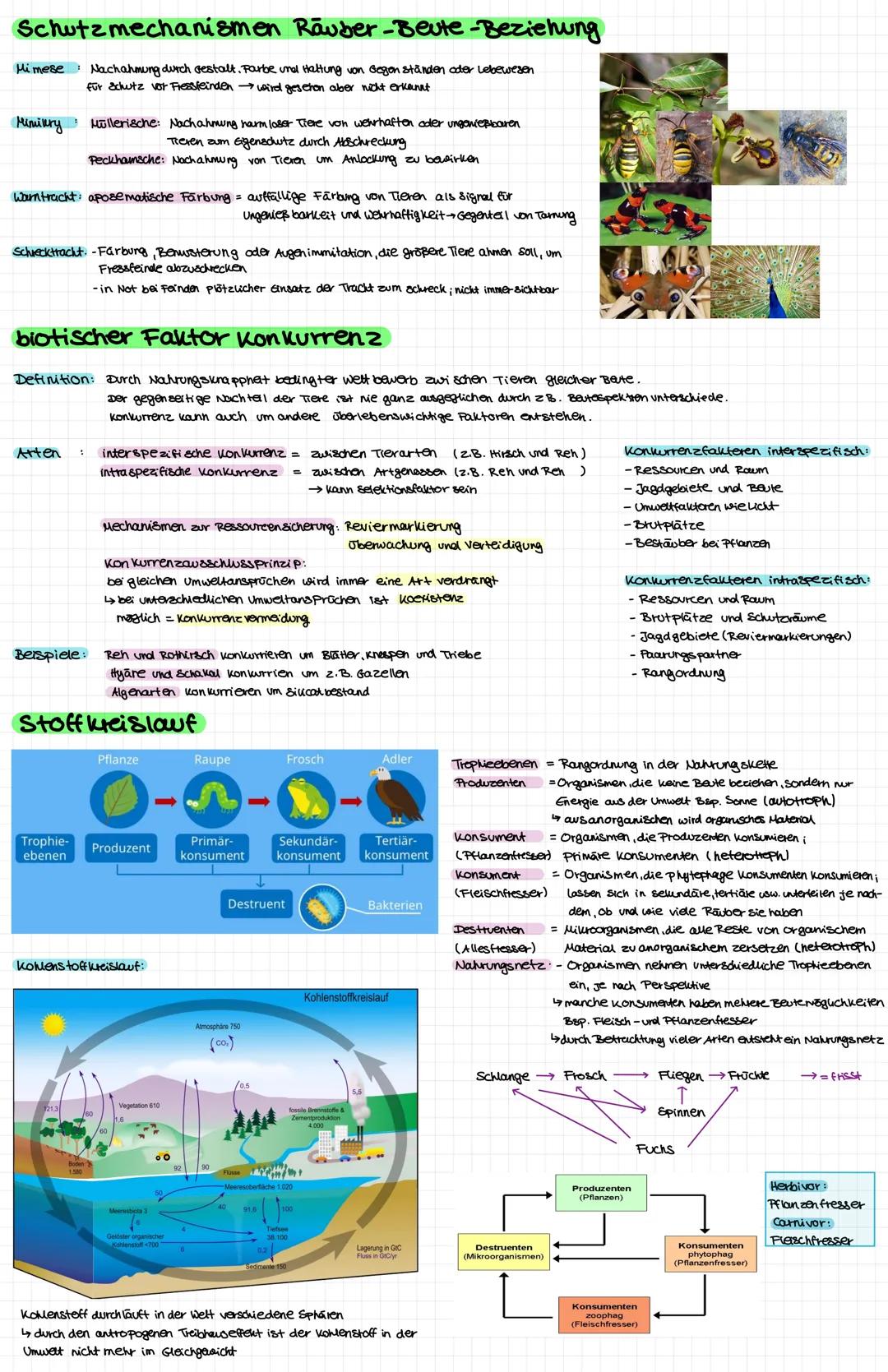 # Mesophyte Pflanzen
= zwischen Hygrophyten urol xerophyten kommen aun feuchten Orten vor i sind an Umgebung angepasst (werfen Blätter im W