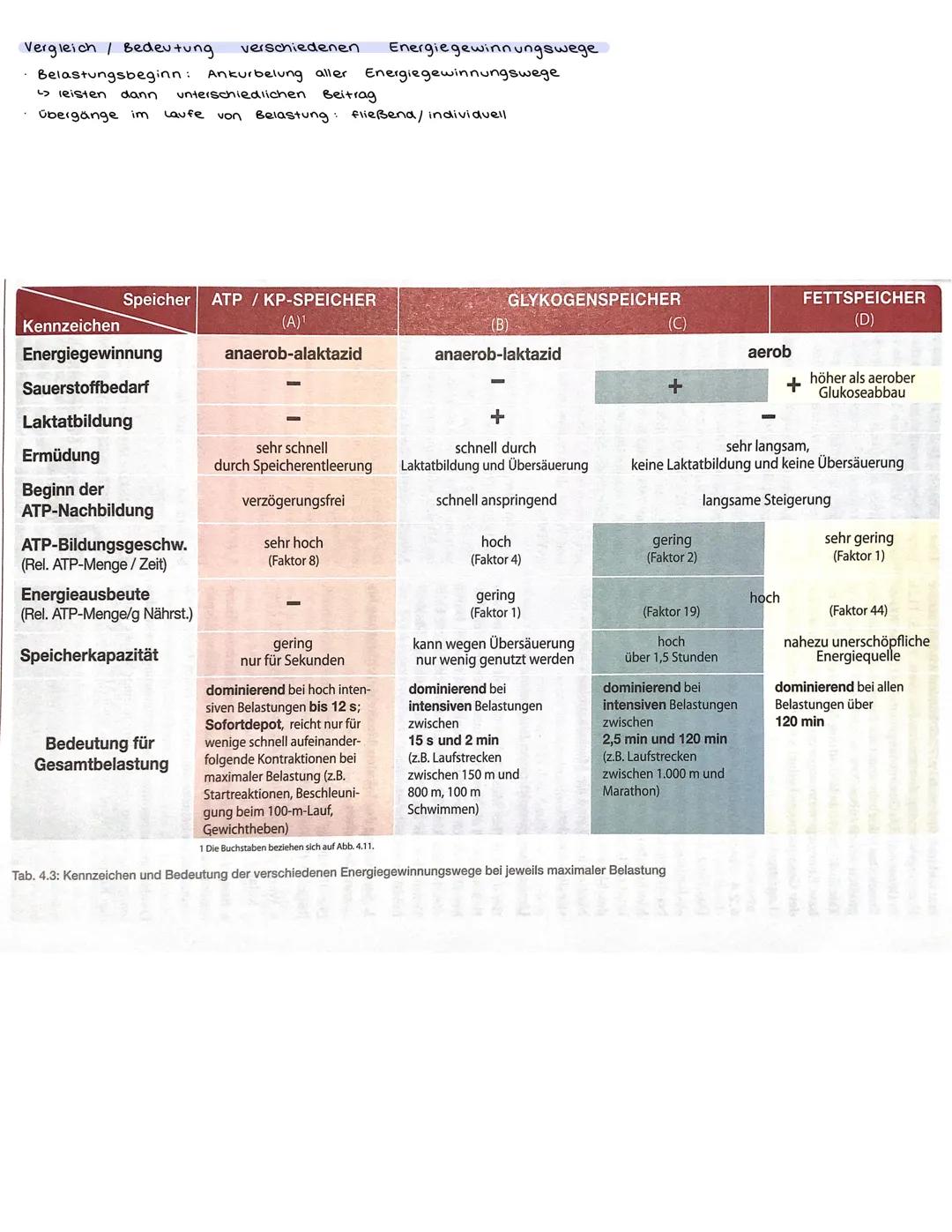 Ausdauer/ Bedeutung der Ausdauer
Im Sport und auch
Widerstandsfähigkeit
die
rasche
allgemein
gegen
Erholungsfähigkeit
bei
relativ
versteht m