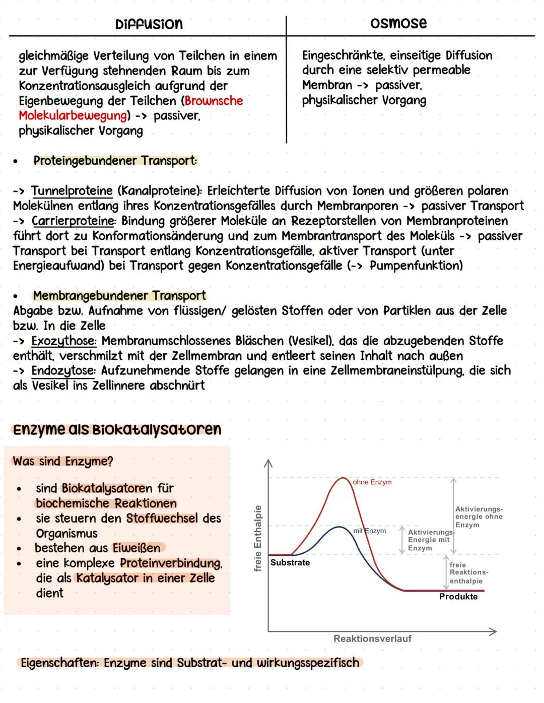 # Lernzettel
Biologie Abitur # Themen:
• zytologie und Grundlagen des zellstoffwechsels
-> Organisation und Funktion von Zellen
• stoffwech
