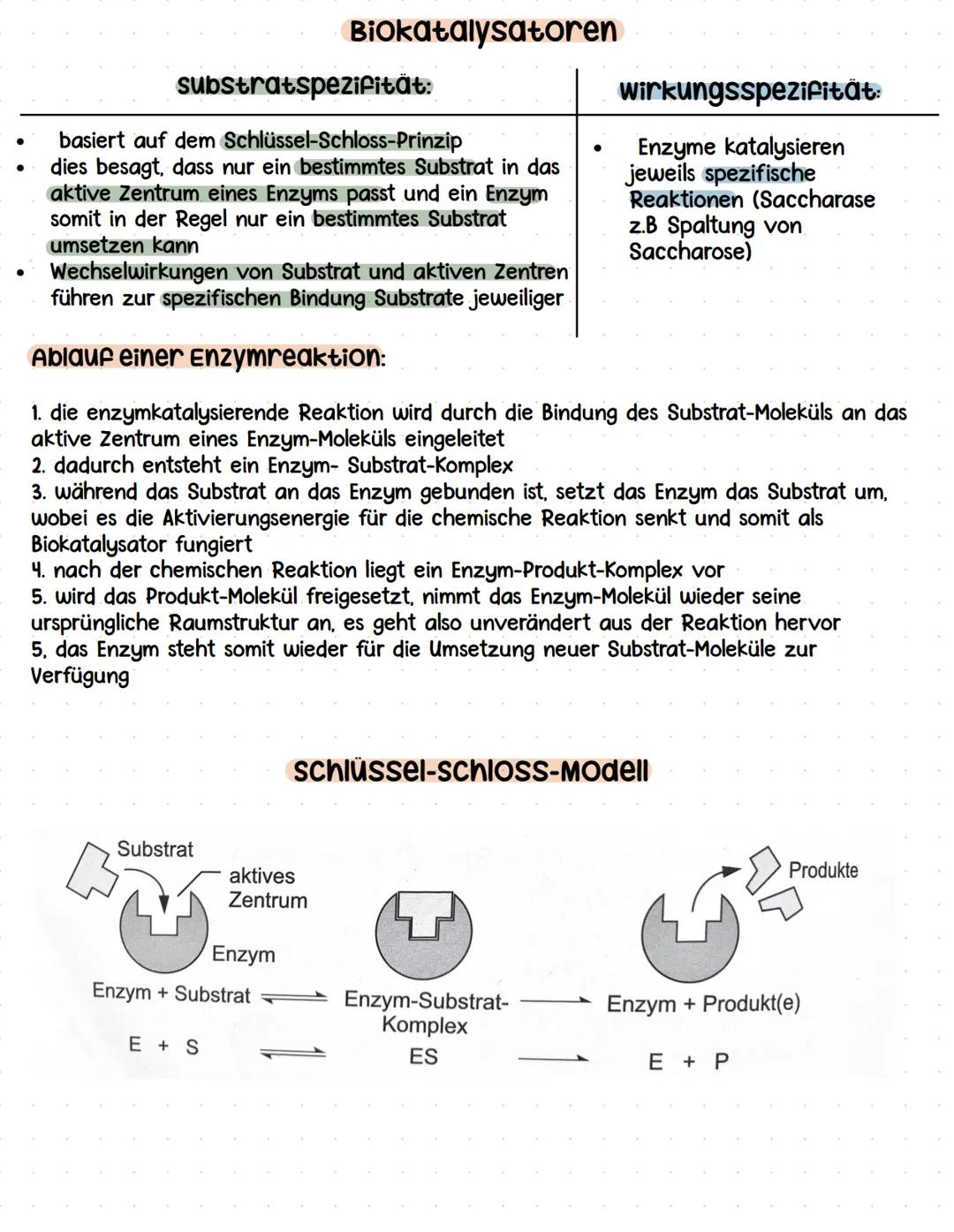 # Lernzettel
Biologie Abitur # Themen:
• zytologie und Grundlagen des zellstoffwechsels
-> Organisation und Funktion von Zellen
• stoffwech