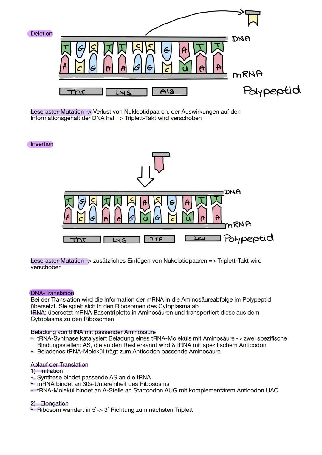 # Aufbau der DNA
Die DNA besteht aus einer Doppelhelix.
Am äußeren Rand befinden sich Phosphat-Reste, welche durch
CH2-Moleküle mit der Deso