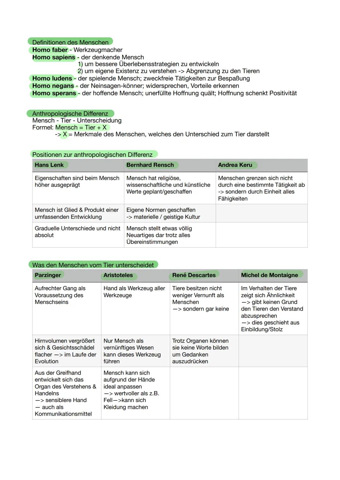 # Definitionen des Menschen
Homo faber - Werkzeugmacher
Homo sapiens - der denkende Mensch
1) um bessere Überlebensstrategien zu entwickeln