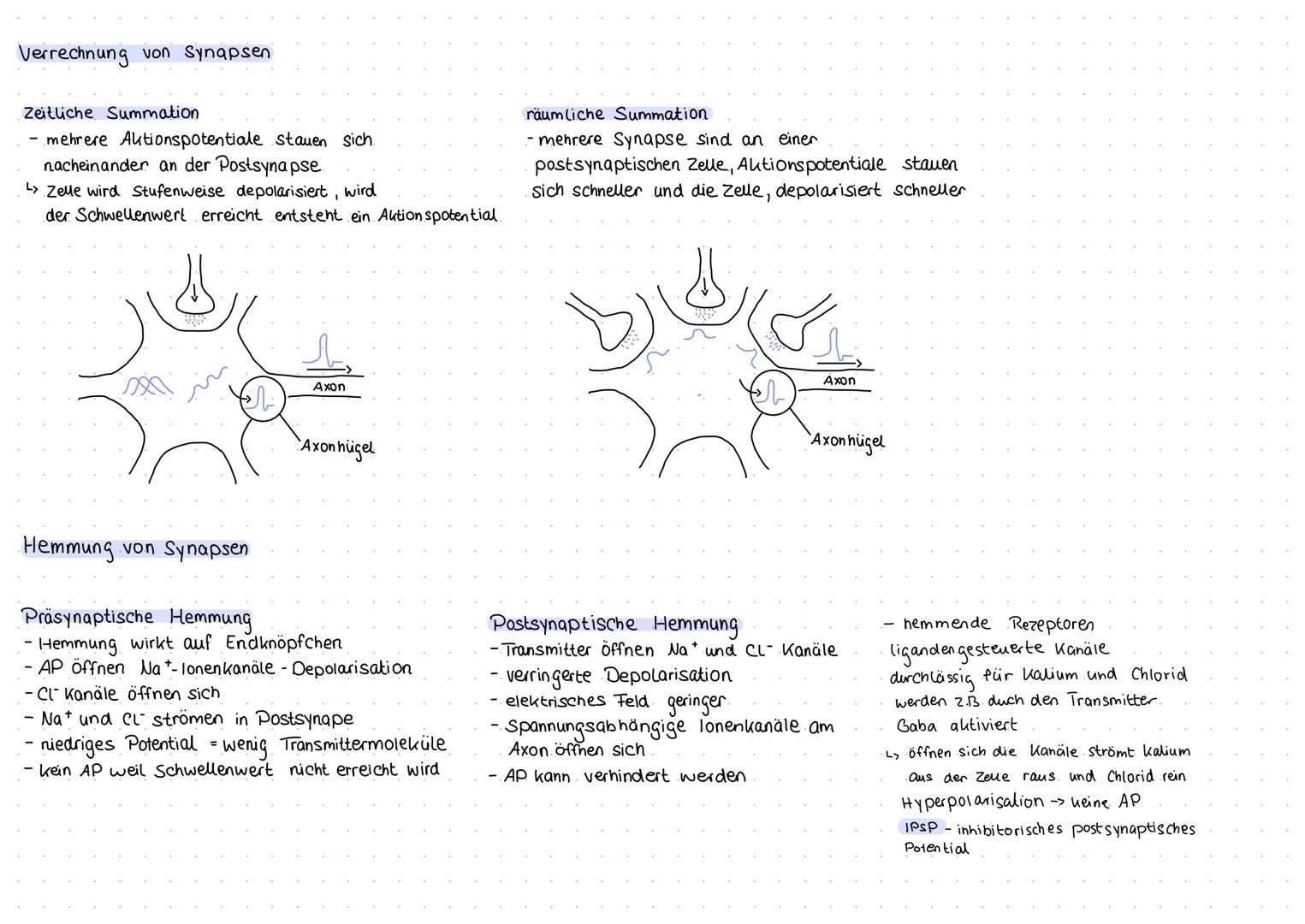Aufbau und Funktion von Neuronen
Neuron (Nervenzelle)
Funktion
Dendritten: Verästelungen am Soma, Eingangsbereiche der Nervenzelle
Dendritte