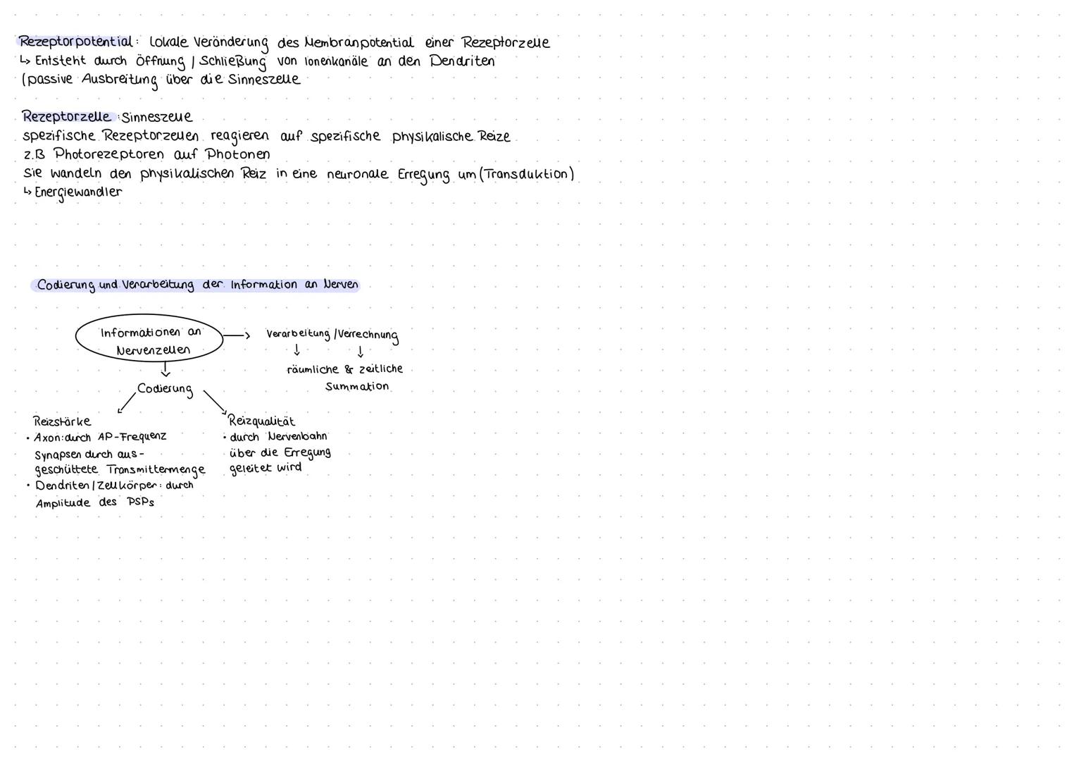 Aufbau und Funktion von Neuronen
Neuron (Nervenzelle)
Funktion
Dendritten: Verästelungen am Soma, Eingangsbereiche der Nervenzelle
Dendritte