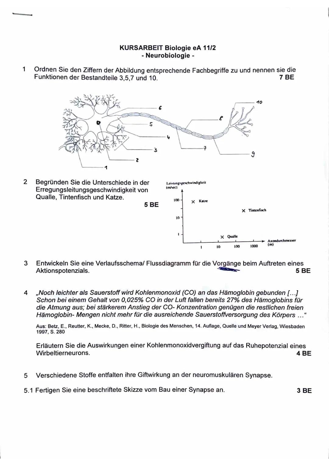 Klausur Bio/Neurobio 11/2 LK Thüringen