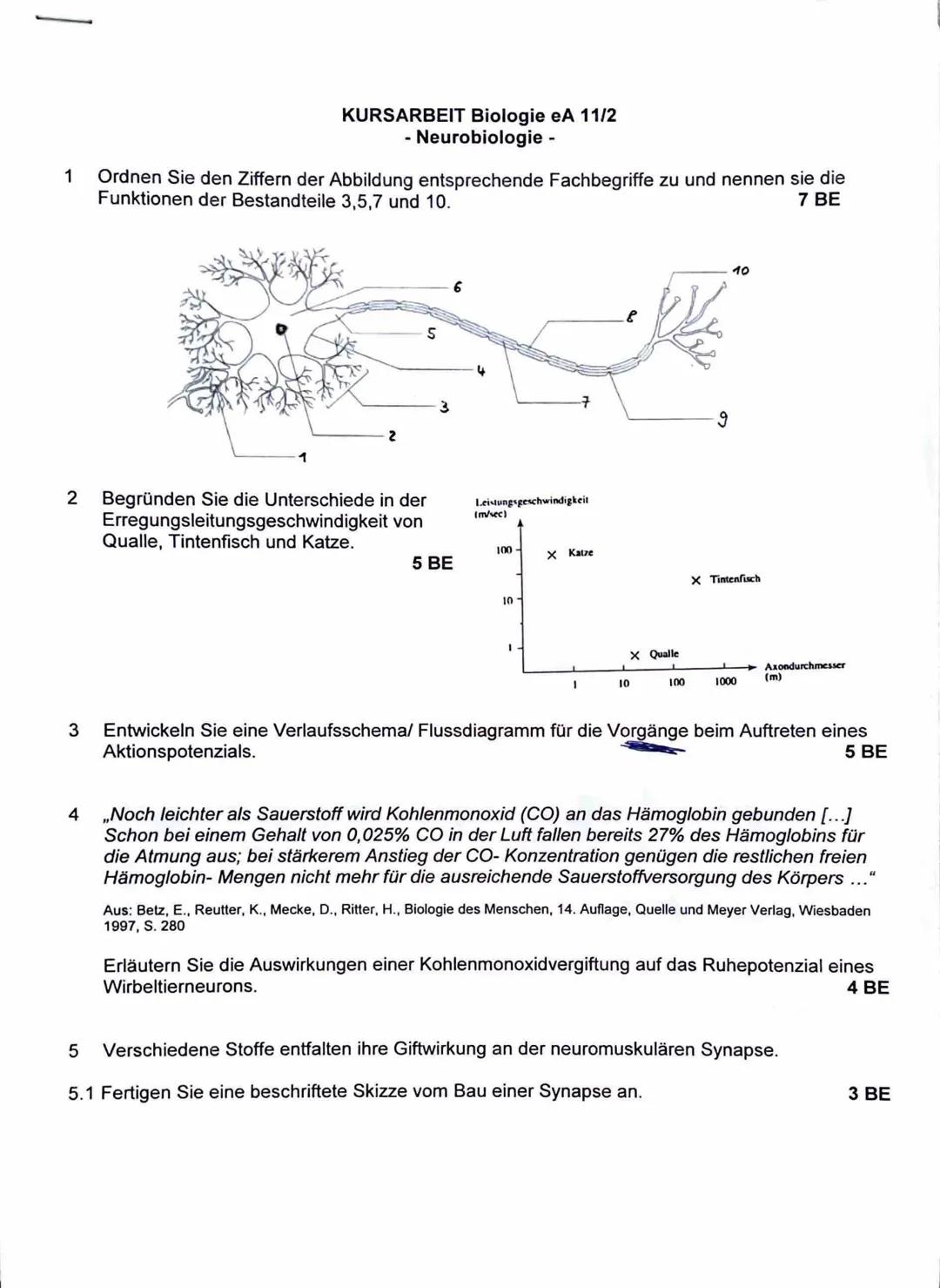 1
KURSARBEIT Biologie eA 11/2
- Neurobiologie -
Ordnen Sie den Ziffern der Abbildung entsprechende Fachbegriffe zu und nennen sie die
Funkti