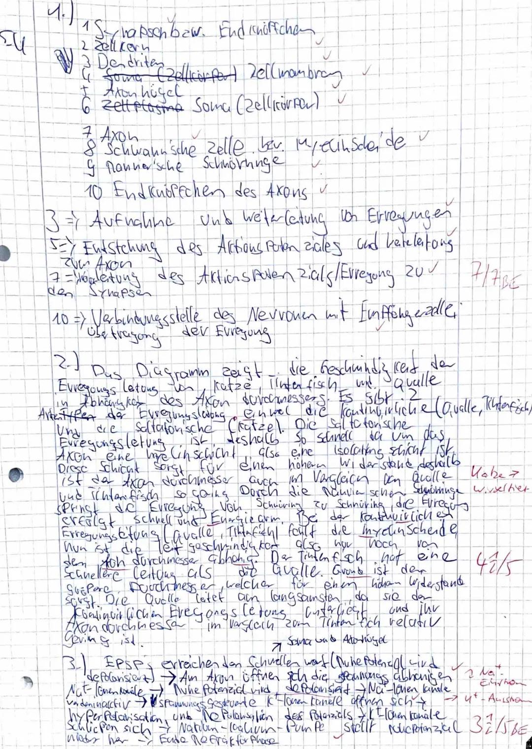 1
KURSARBEIT Biologie eA 11/2
- Neurobiologie -
Ordnen Sie den Ziffern der Abbildung entsprechende Fachbegriffe zu und nennen sie die
Funkti