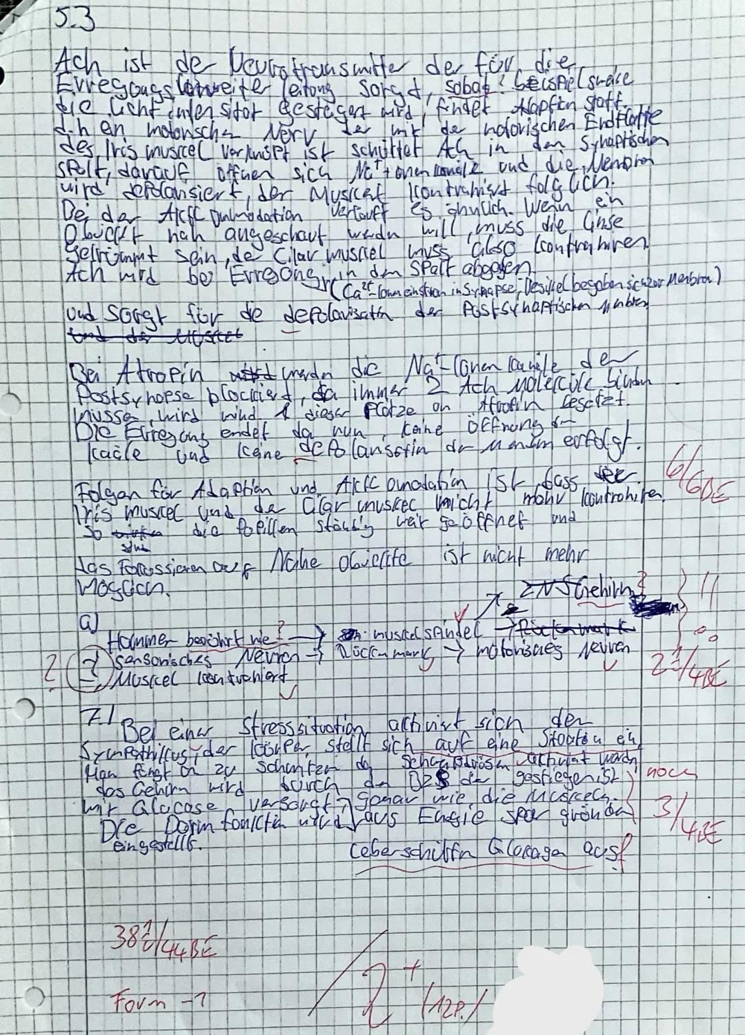 1
KURSARBEIT Biologie eA 11/2
- Neurobiologie -
Ordnen Sie den Ziffern der Abbildung entsprechende Fachbegriffe zu und nennen sie die
Funkti