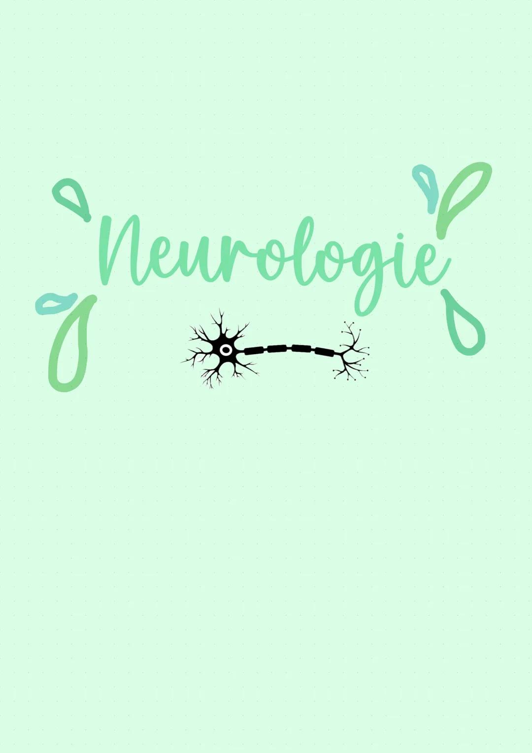 g
Neurologie
0 Grundlagen
Axon einer vorgeschalteten Nervenzelle
Signal-
aufnahme
Dentriten
Struktur und funktion von neuronen und synapsen