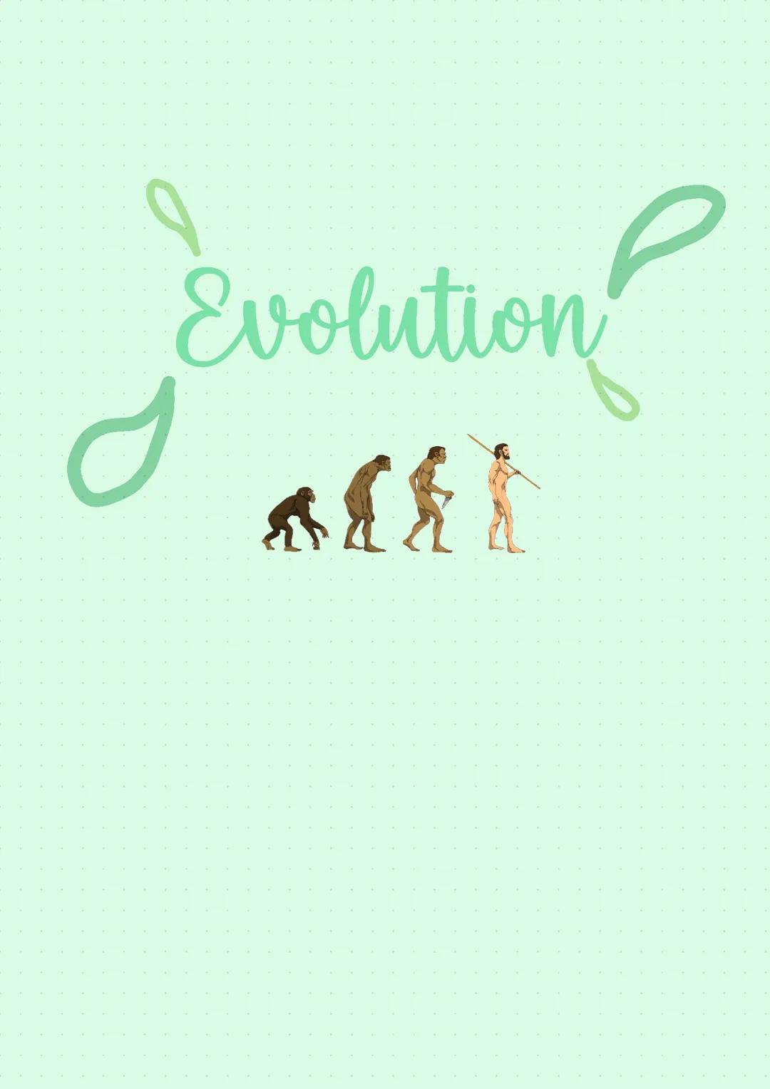 Abi-Lernzettel Evolution
