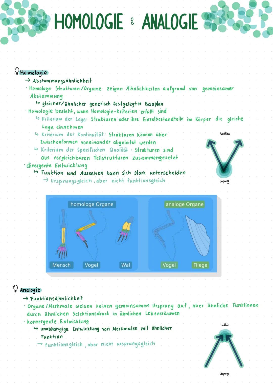Evolution Evolutionstheorien
Darwin
Schrittweise, über viele Generationen hinweg, passive Anpassung durch Wirken der Selektion
Artwandel/Art