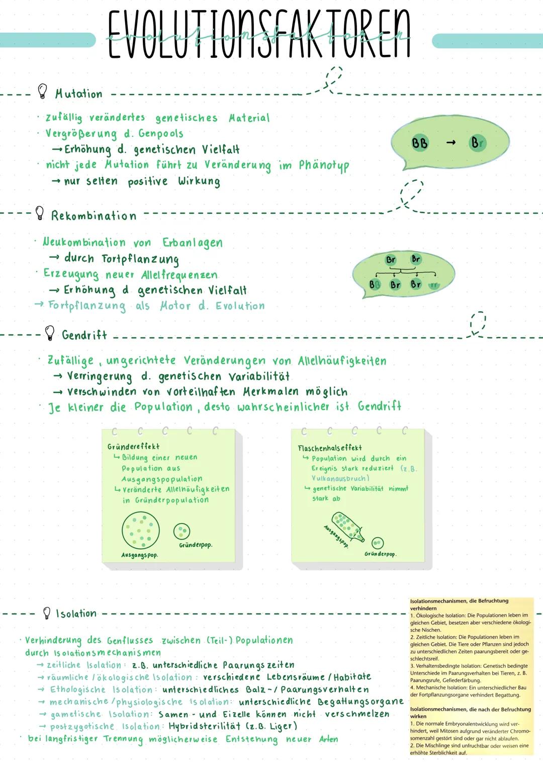 Evolution Evolutionstheorien
Darwin
Schrittweise, über viele Generationen hinweg, passive Anpassung durch Wirken der Selektion
Artwandel/Art