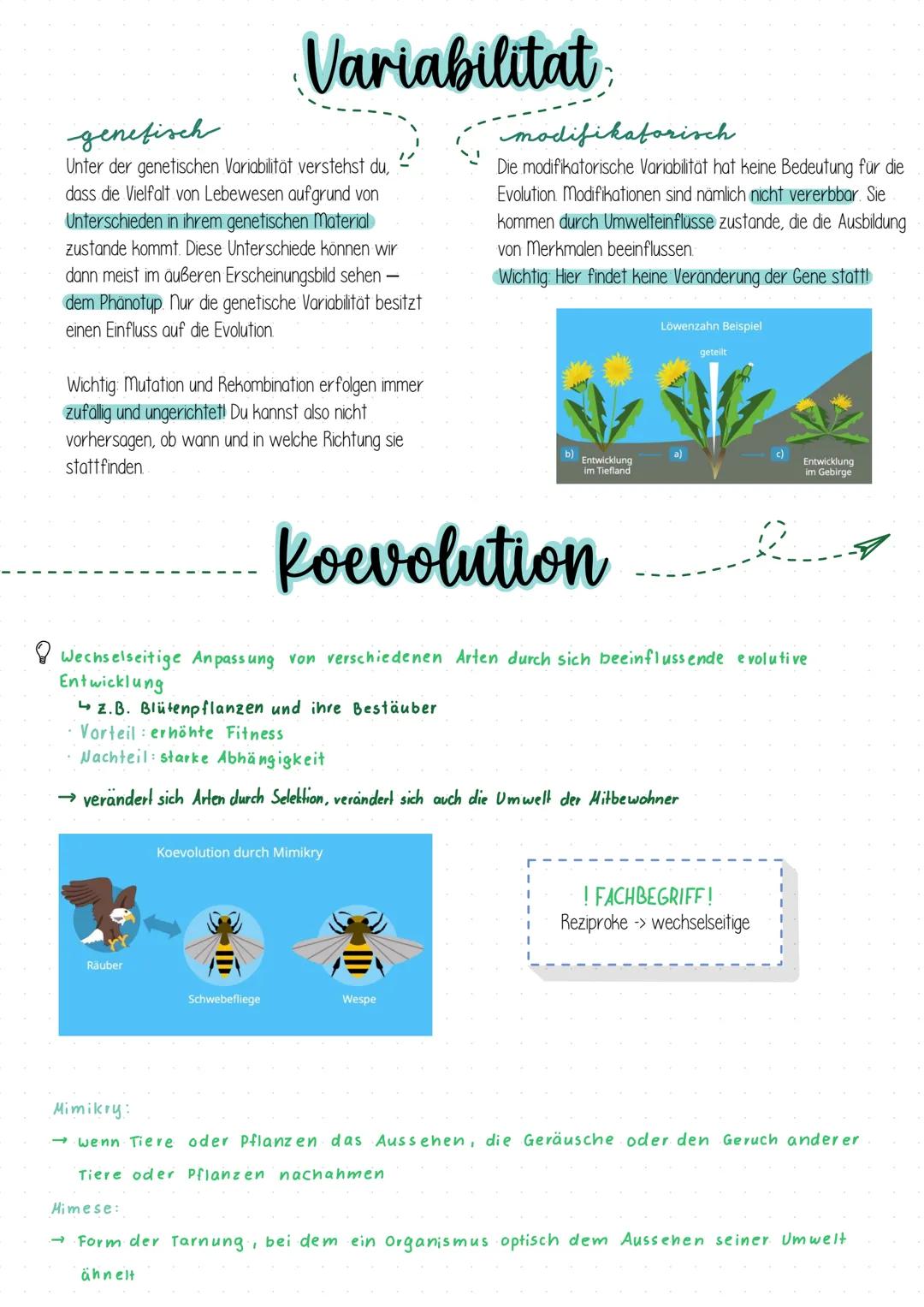 Evolution Evolutionstheorien
Darwin
Schrittweise, über viele Generationen hinweg, passive Anpassung durch Wirken der Selektion
Artwandel/Art