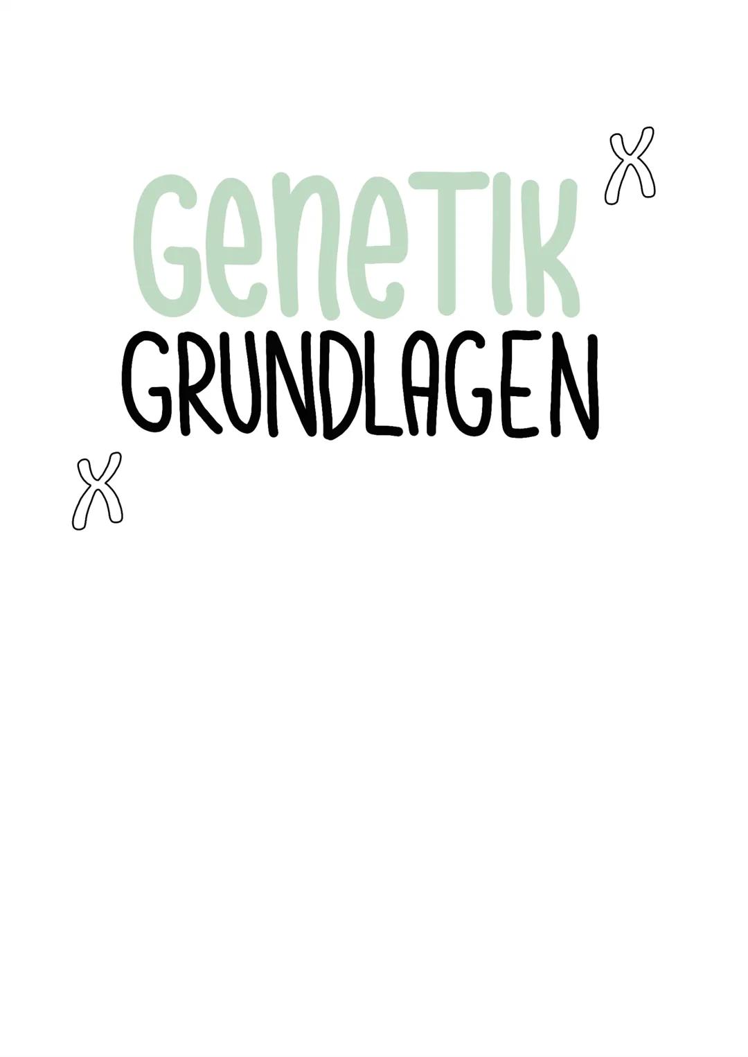 # Genetik
GRUNDLAGEN GLOSSAR
1) Gen:
- „Bauplan"für Proteine
-DNA - Abschnitt, der als Informationseinheit zur Ausprägung eines Merkmals nö