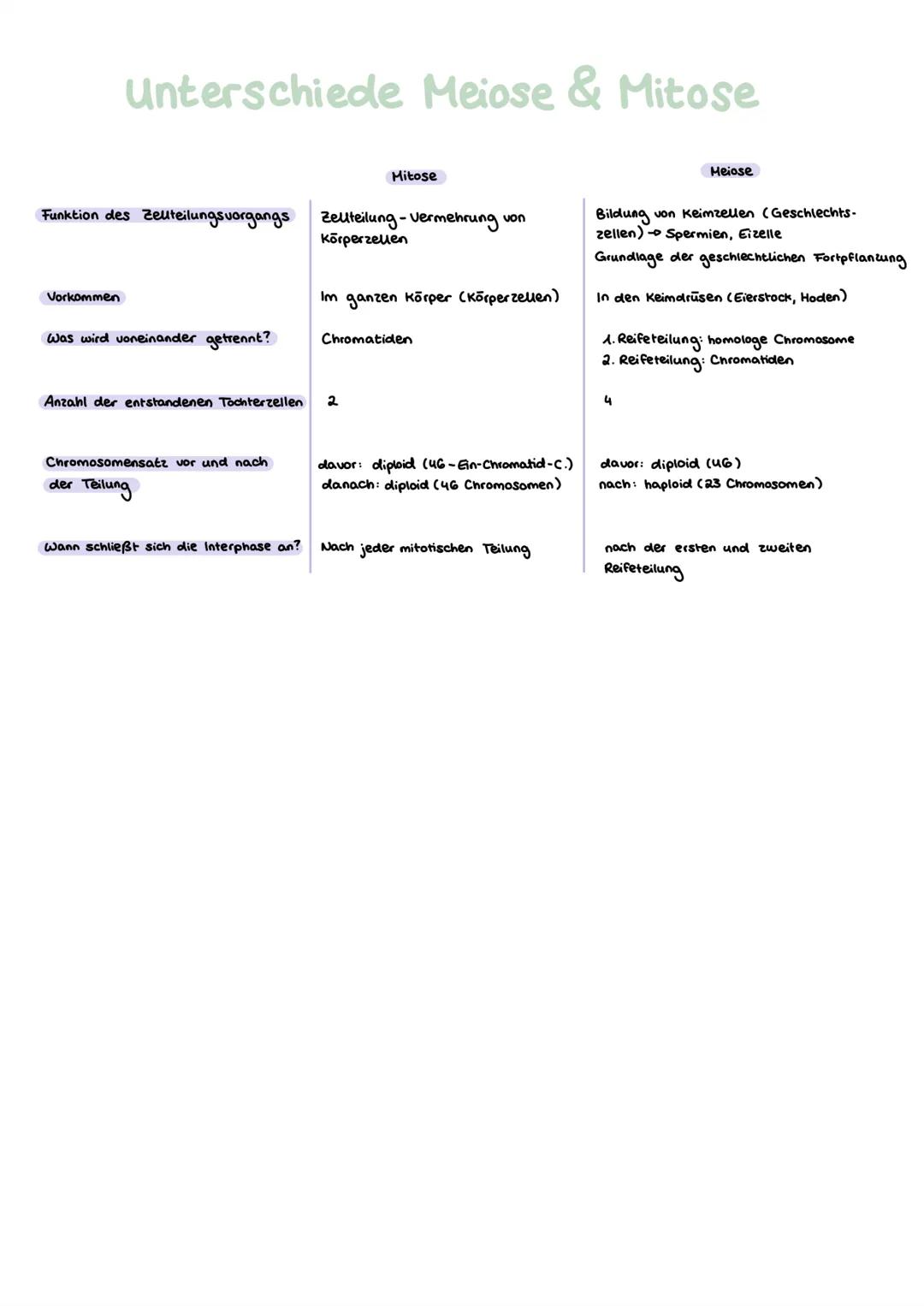 # Genetik
GRUNDLAGEN GLOSSAR
1) Gen:
- „Bauplan"für Proteine
-DNA - Abschnitt, der als Informationseinheit zur Ausprägung eines Merkmals nö