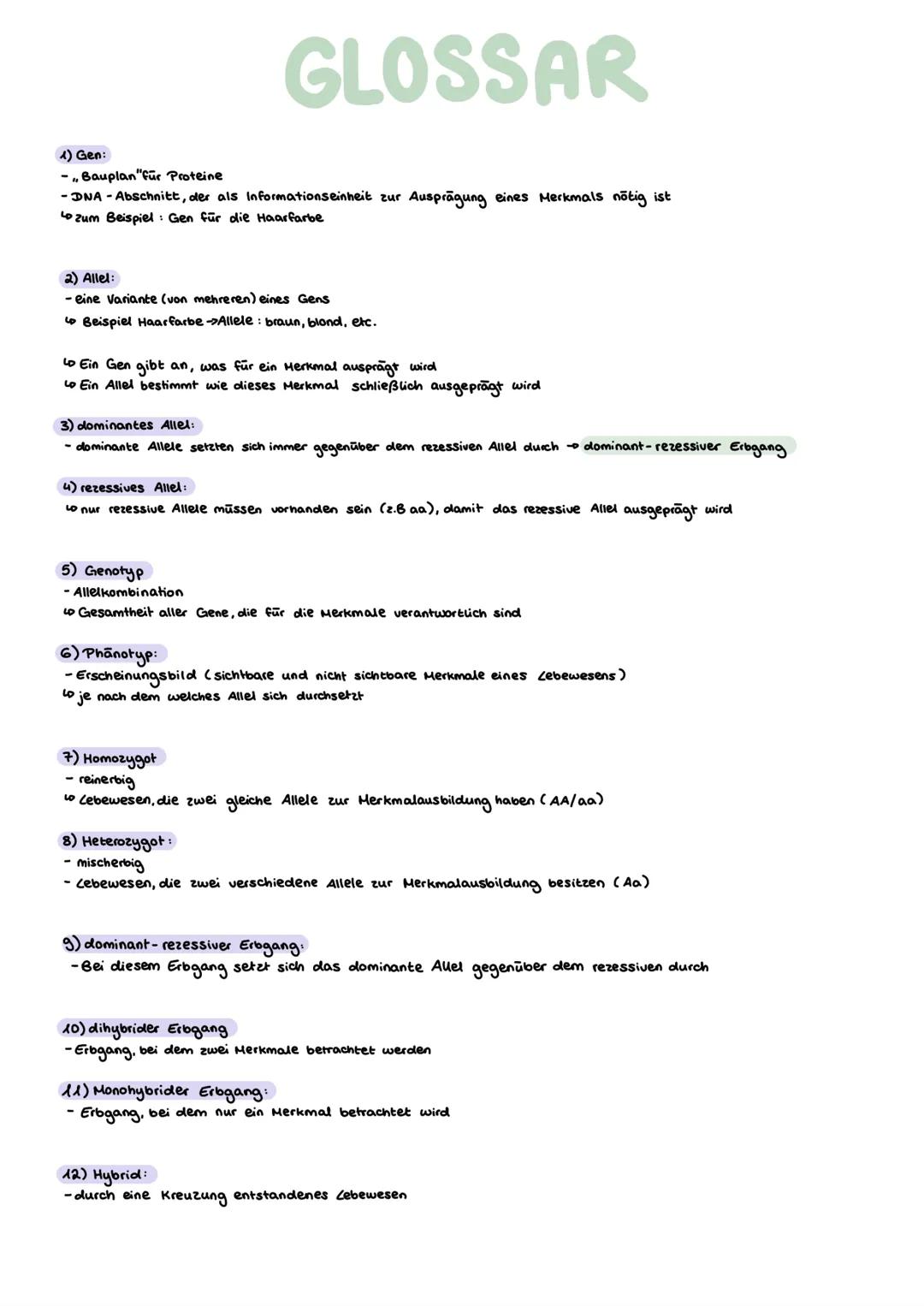 # Genetik
GRUNDLAGEN GLOSSAR
1) Gen:
- „Bauplan"für Proteine
-DNA - Abschnitt, der als Informationseinheit zur Ausprägung eines Merkmals nö