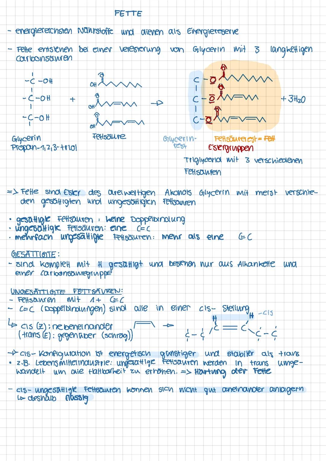 Fette, Fettsäuren, Verseifung/ alkalische Hydrolyse zum Seife-Anion, Veresterung Chemie