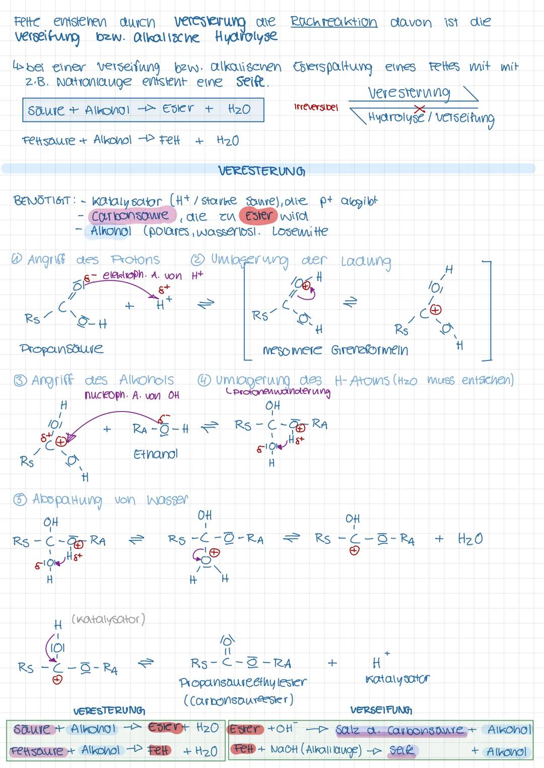 FETTE
energiereichsten Nährstoffe und dienen als Energiereserve
Fette entstenen bei einer veresterung von Glycerin mit 3 langkettigen.
Carbo