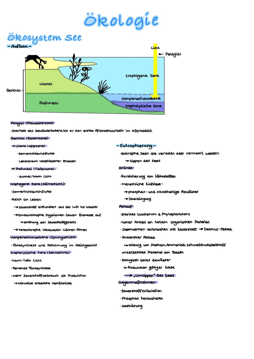 Ökologie
Fachbegriffe
Biosphäre Gesamtheit der von Lebewesen besiedelten Schichten der Erde
Ökosystem: kleinste ökologische Einheit eines Le