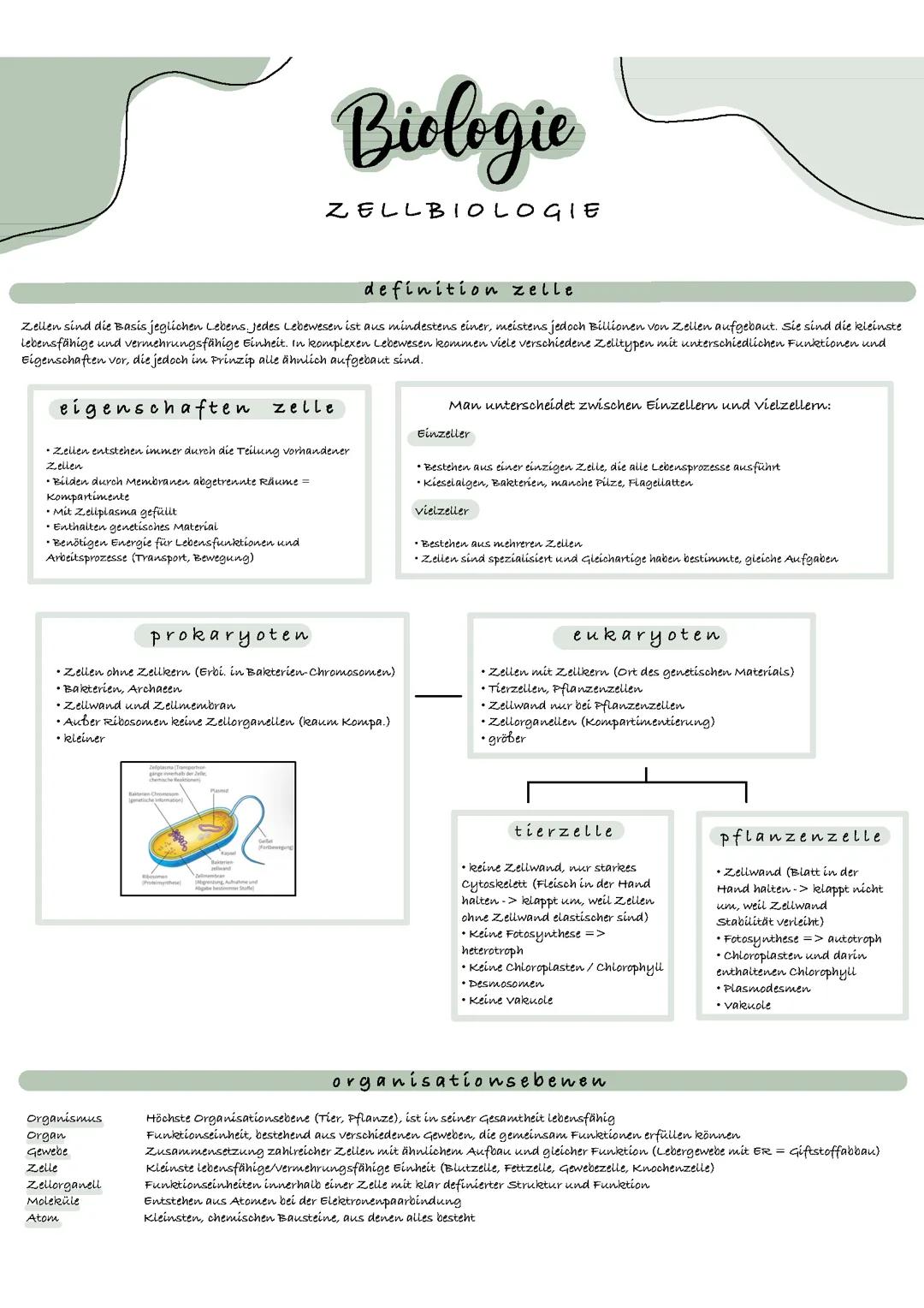 Zellbiologie - 11. Klasse