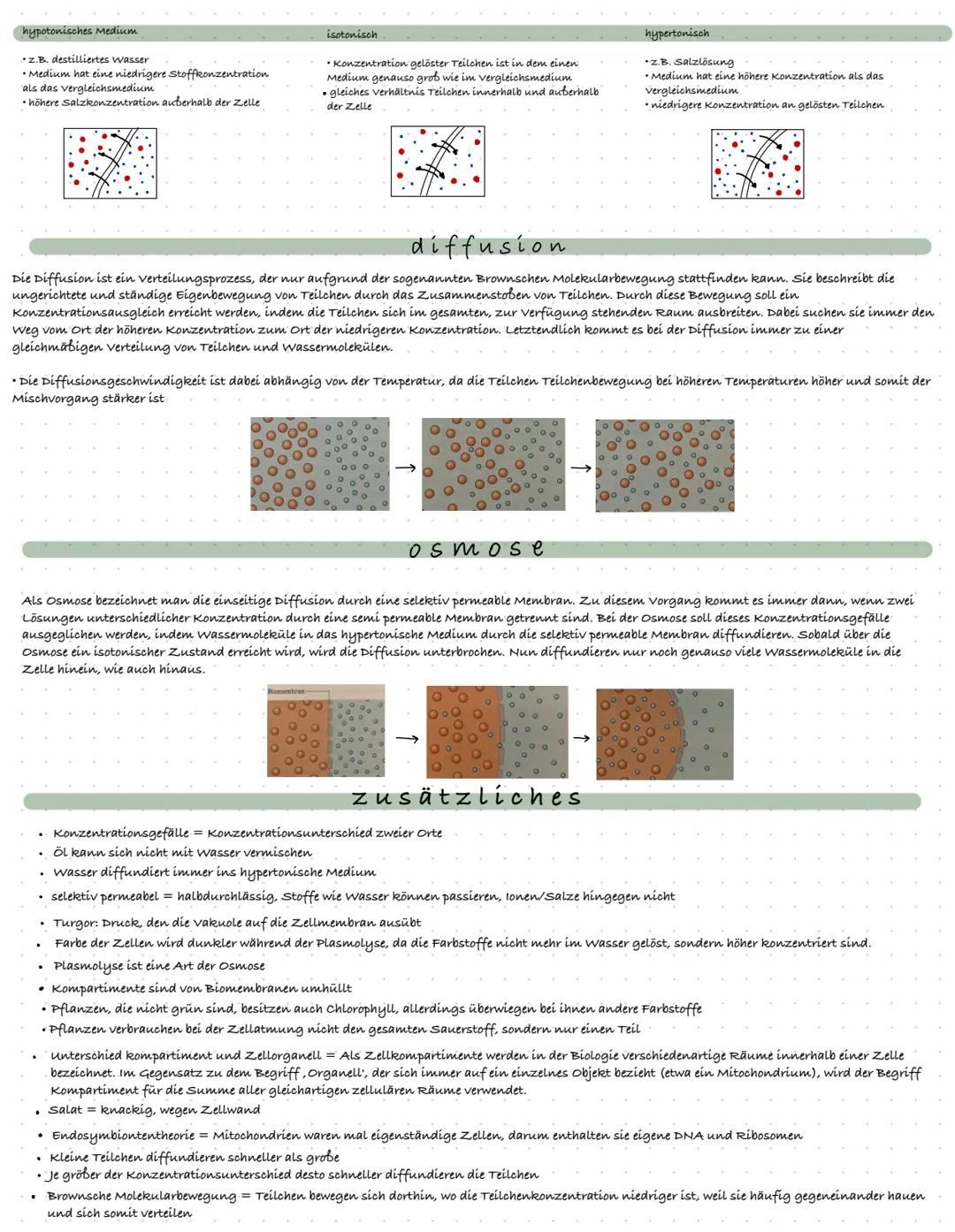 Biologie
ZELL BIOLOGIE
definition zelle
Zellen sind die Basis jeglichen Lebens. Jedes Lebewesen ist aus mindestens einer, meistens jedoch Bi
