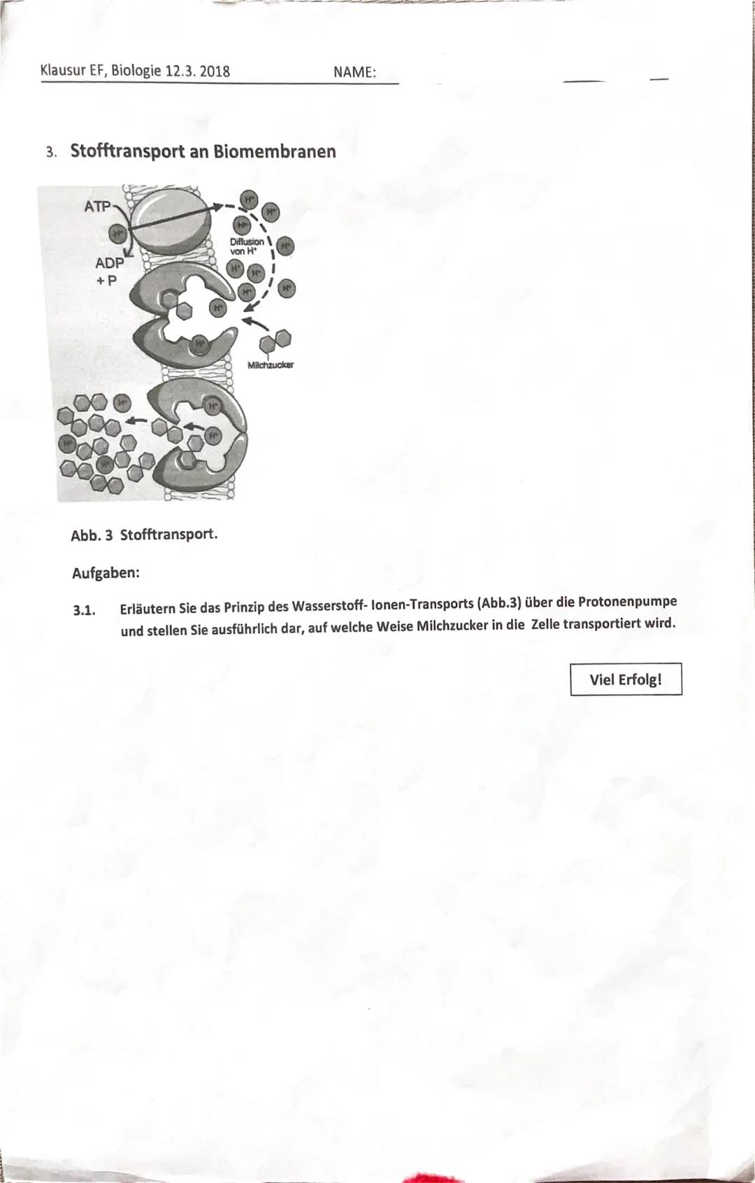 Klausur EF, Biologie 12.3.2018
NAME:
1. Aufgabe: Osmose
Arbeitsmaterial 1:
Im Rahmen eines tierphysiologischen Praktikums bekommt eine Biolo