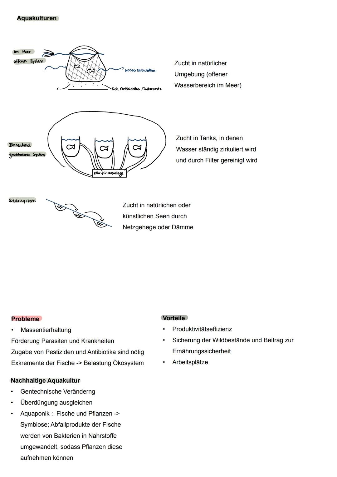 Erdkunde Abitur 24'
Landwirtschaft
Klimatische Grundlagen
Klimazonen
Polare Zone
Subpolare Zone
Gemäßigte Zone
Subtropische Zone
Äquator
Tro
