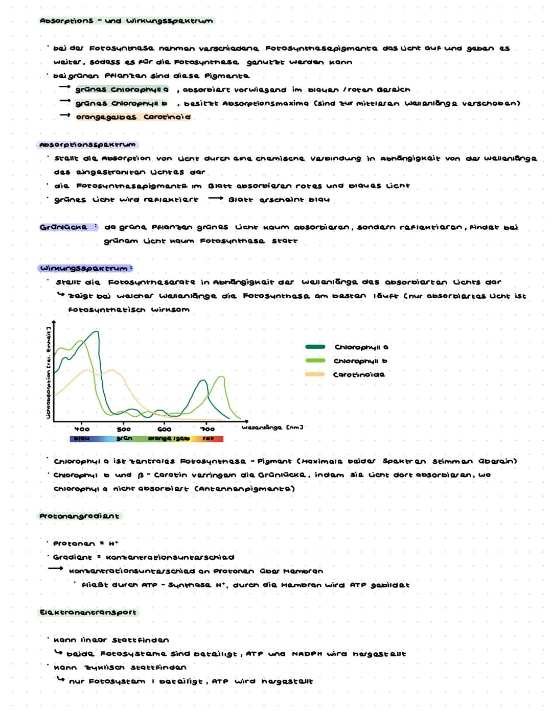 Bio Lernzattal az.1 -Photosynthese
Blattaufbau PHanze
x412m
Leitbandel.
Phloem
$100000000
Kutikula
obara Epidermis
Palasidengewebe
Schließza
