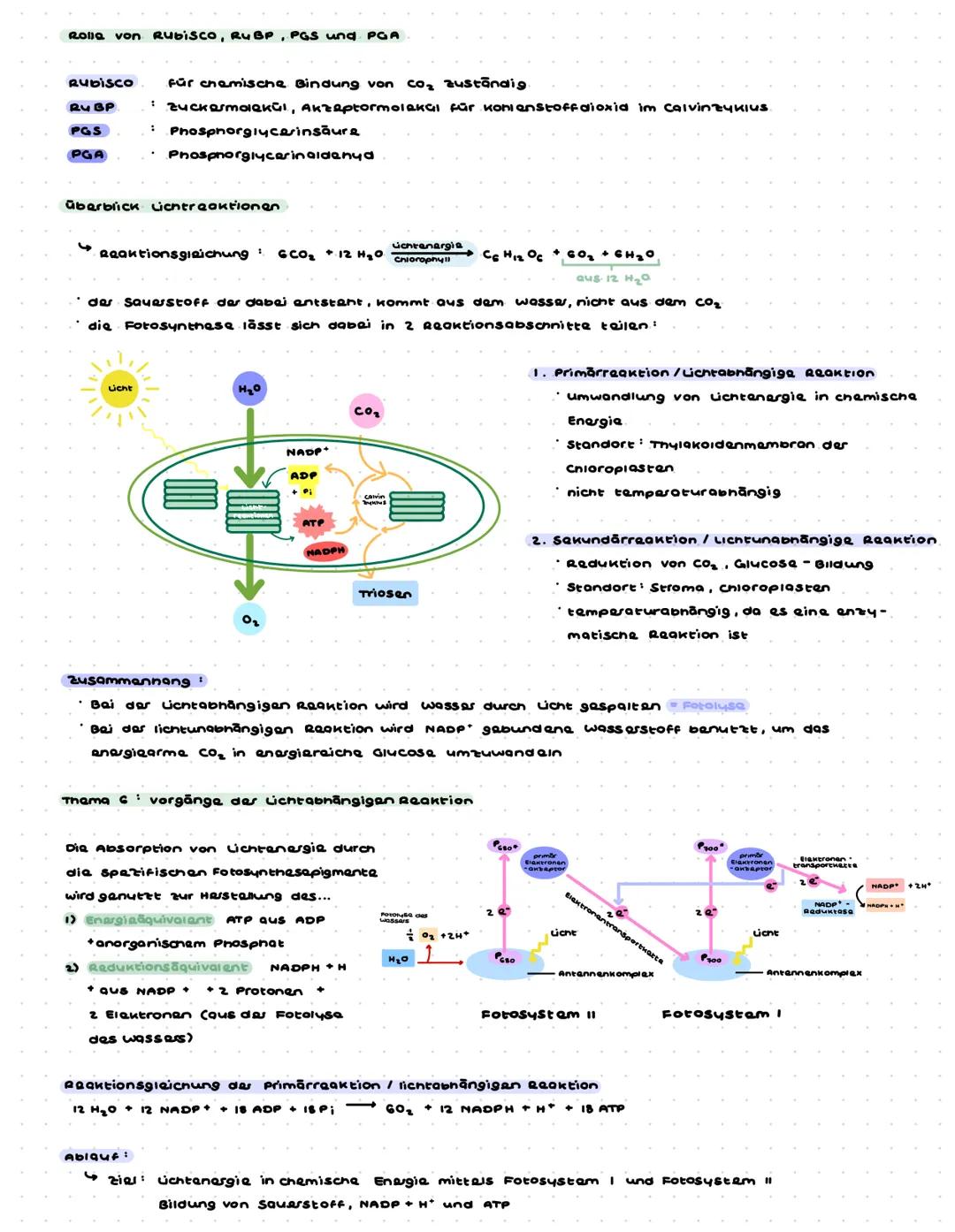 Bio Lernzattal az.1 -Photosynthese
Blattaufbau PHanze
x412m
Leitbandel.
Phloem
$100000000
Kutikula
obara Epidermis
Palasidengewebe
Schließza