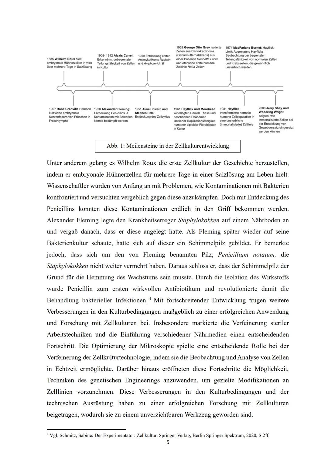 epe
berufliche schule für emähirung pflege erziehung
bad mergentheim
Berufliche Schule für Ernährung. Pflege.Erziehung Bad Mergentheim
leben