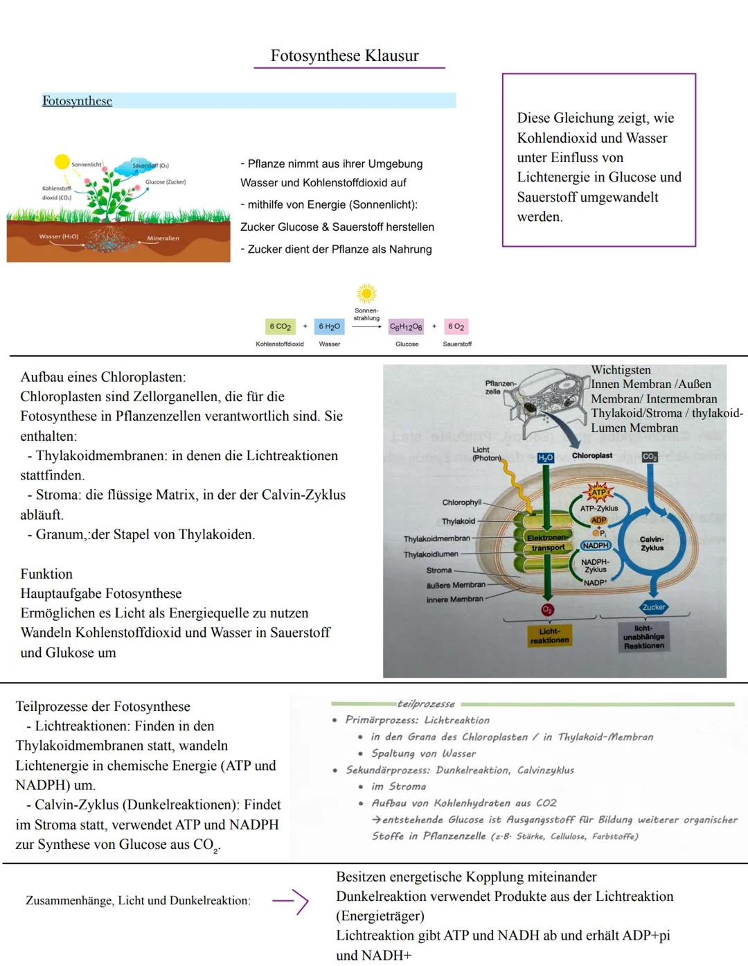 # Fotosynthese
Fotosynthese Klausur
Kohlenstoff
dioxid (CO
Glucose (Zucker)
Wasser (HO)
Mineralien
- Pflanze nimmt aus ihrer Umgebung
Wa