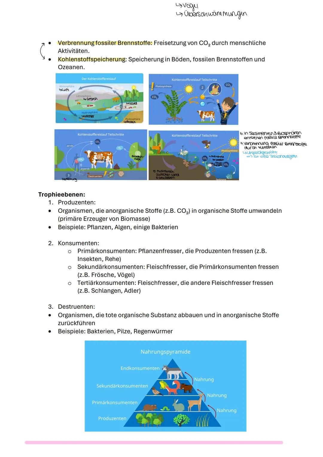 Biologie Lernzettel
Themen:
✓ abiotische Faktoren und deren Einfluss (Übersicht): Temperatur, Licht, Wasser,
RGT-Regel, Toleranzkurven, ph