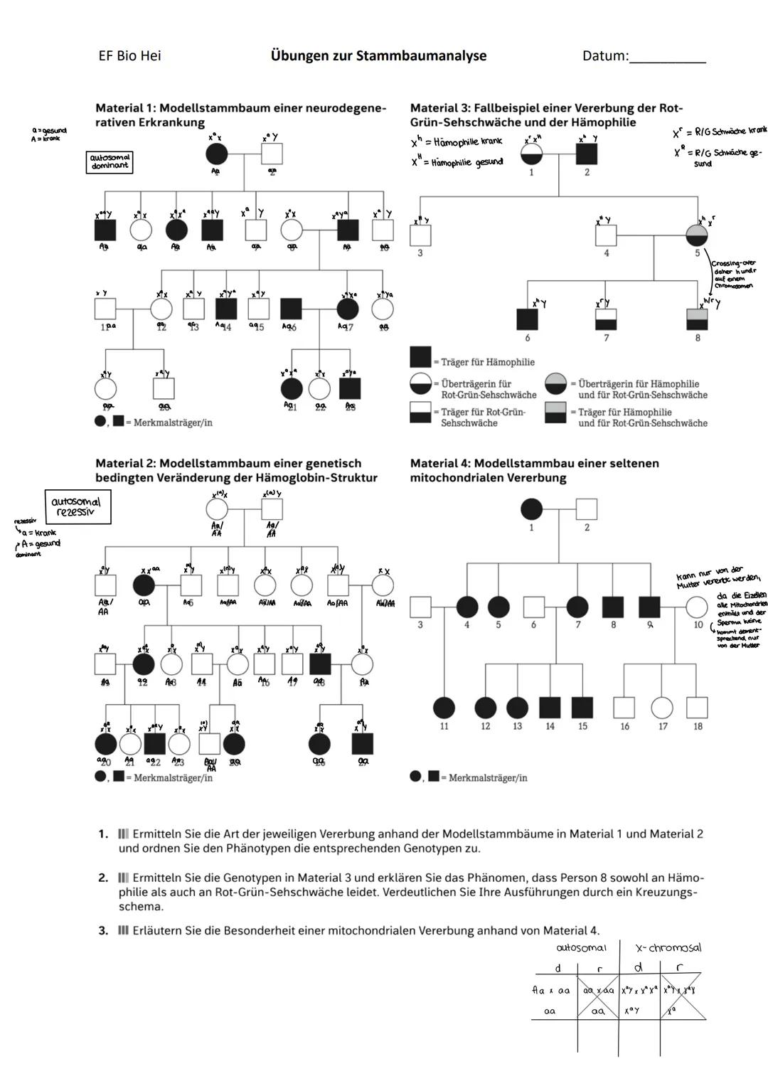 # EF Bio Hei
Übungen zur Stammbaumanalyse
Datum:
Material 1: Modellstammbaum einer neurodegene-
rativen Erkrankung
axgesund
autosomal
d