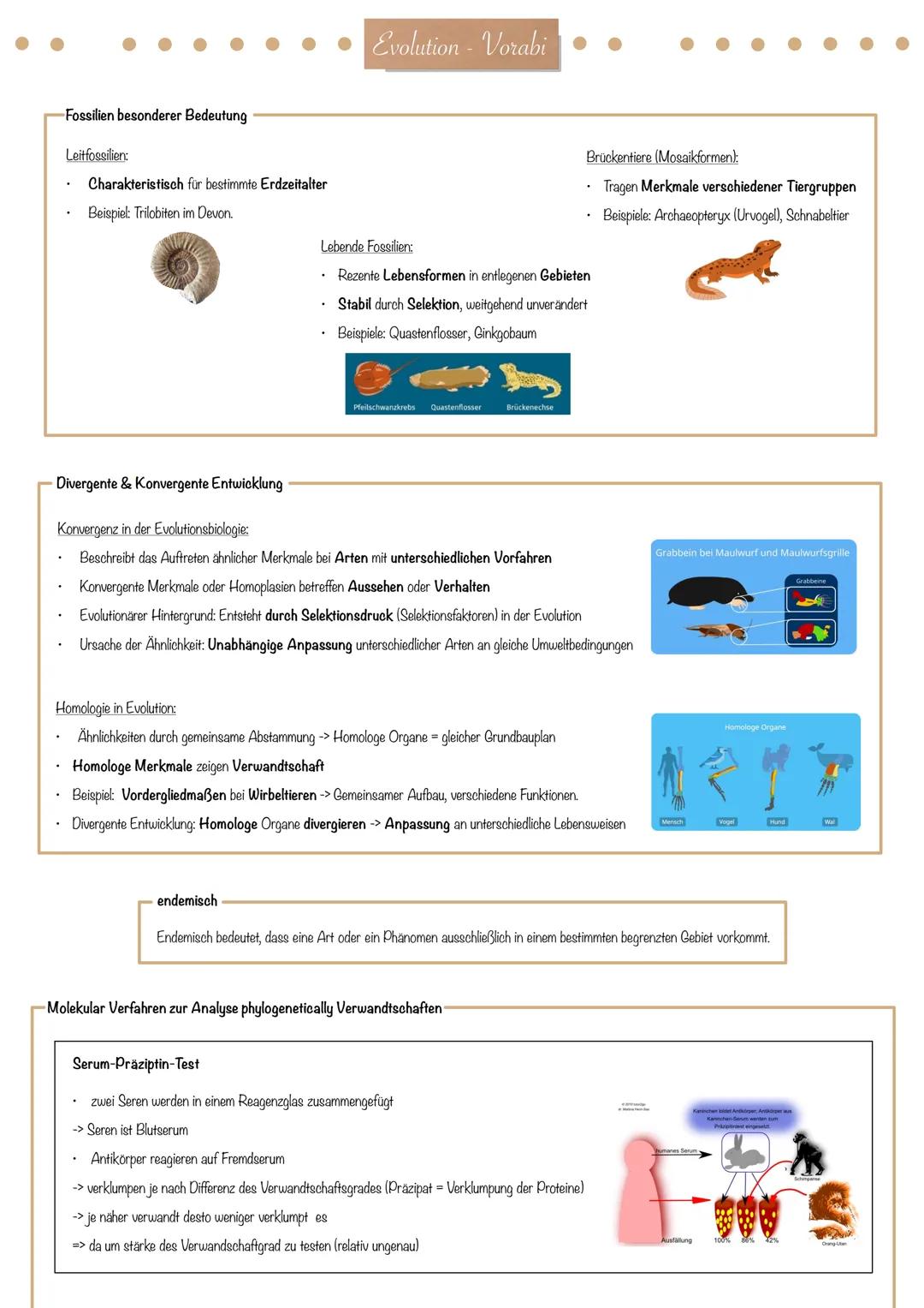 Evolution - Vorabi
Evolutionstheorie-
Die Evolutionstheorie (engl. evolution theory) ist eine wissenschaftliche Herangehensweise zur Erkläru