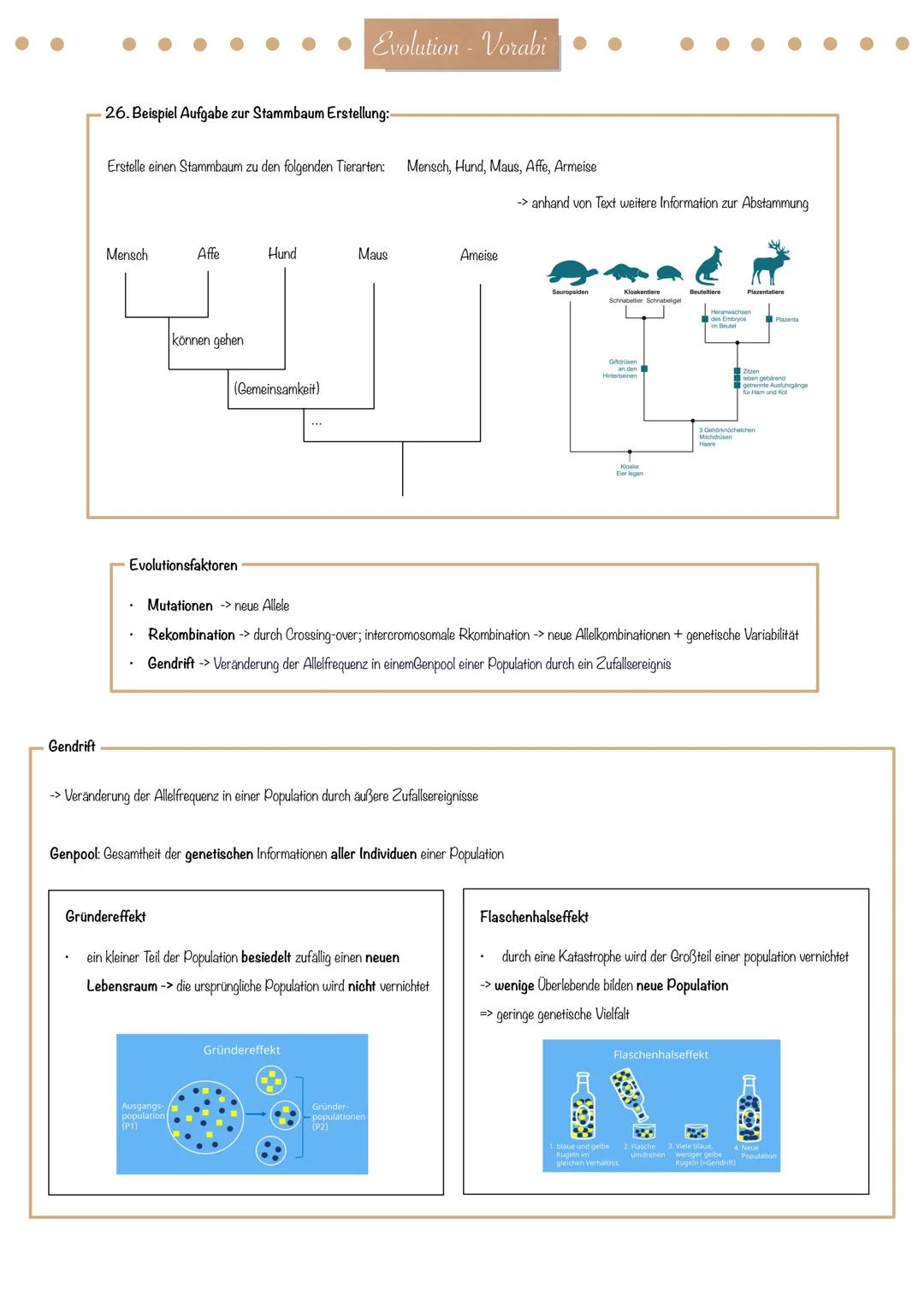 Evolution - Vorabi
Evolutionstheorie-
Die Evolutionstheorie (engl. evolution theory) ist eine wissenschaftliche Herangehensweise zur Erkläru