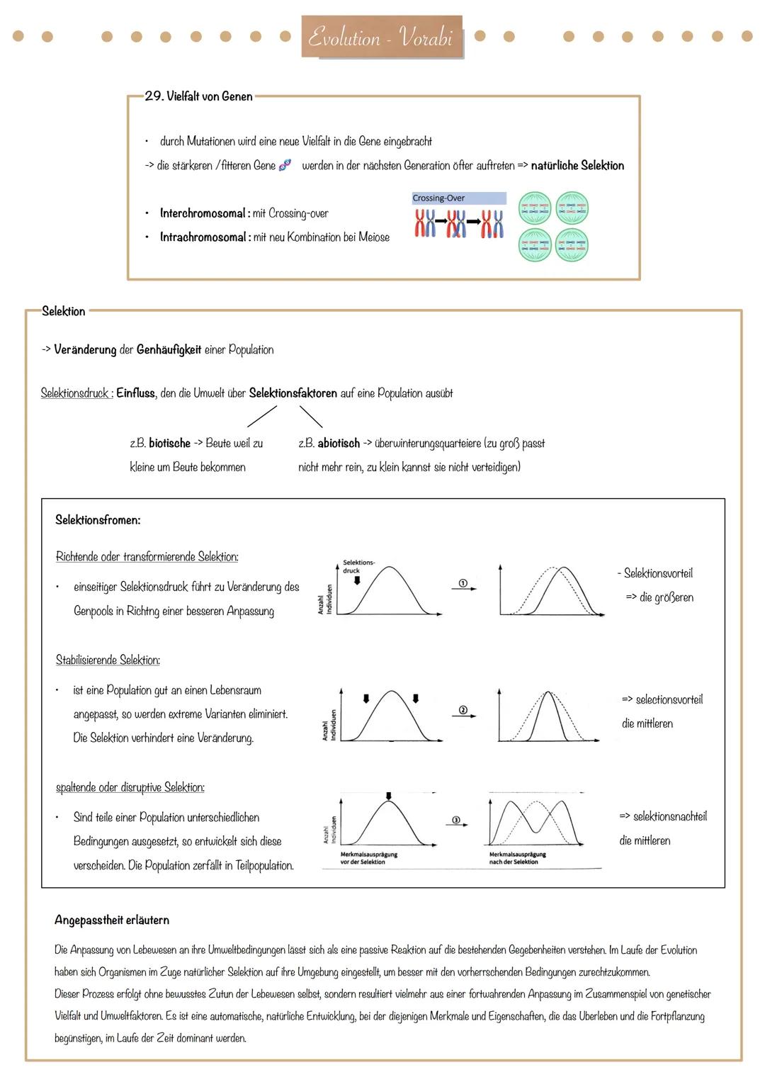 Evolution - Vorabi
Evolutionstheorie-
Die Evolutionstheorie (engl. evolution theory) ist eine wissenschaftliche Herangehensweise zur Erkläru