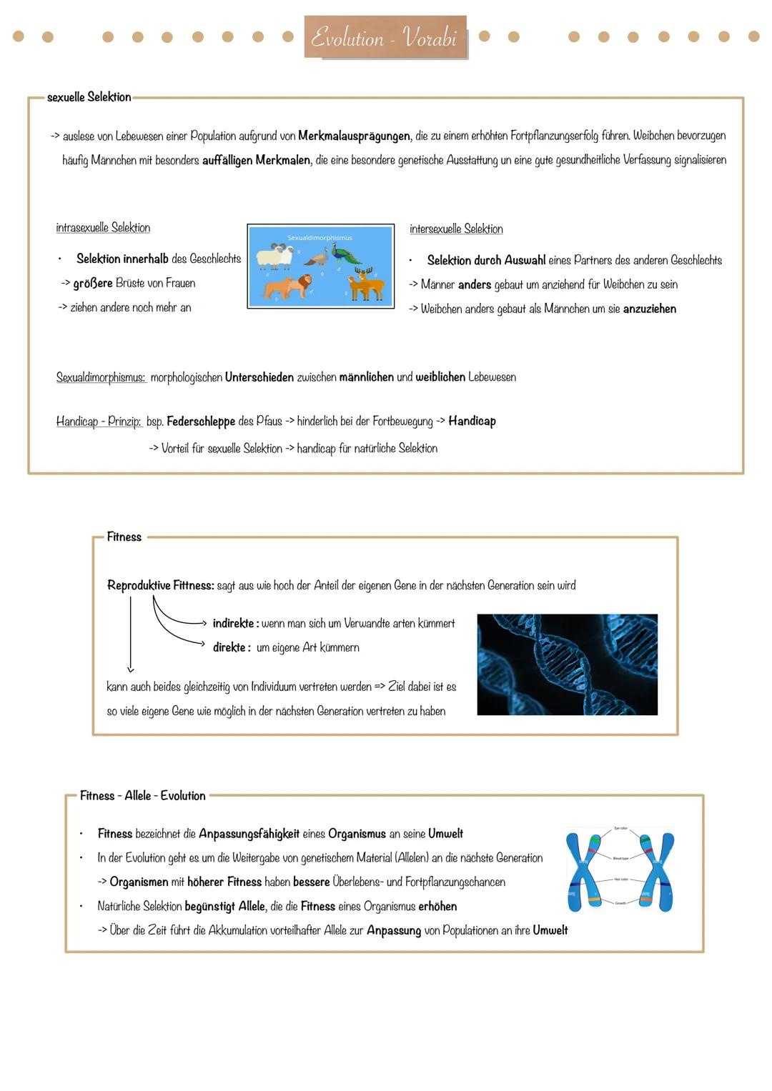 Evolution - Vorabi
Evolutionstheorie-
Die Evolutionstheorie (engl. evolution theory) ist eine wissenschaftliche Herangehensweise zur Erkläru