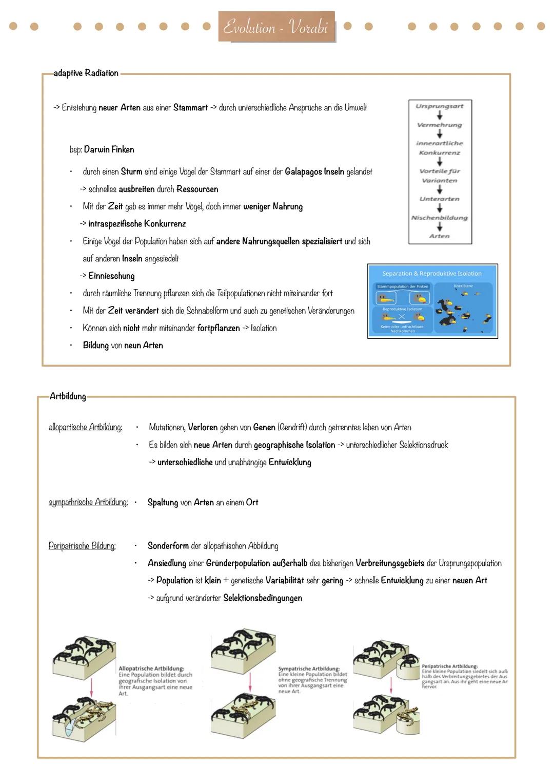 Evolution - Vorabi
Evolutionstheorie-
Die Evolutionstheorie (engl. evolution theory) ist eine wissenschaftliche Herangehensweise zur Erkläru