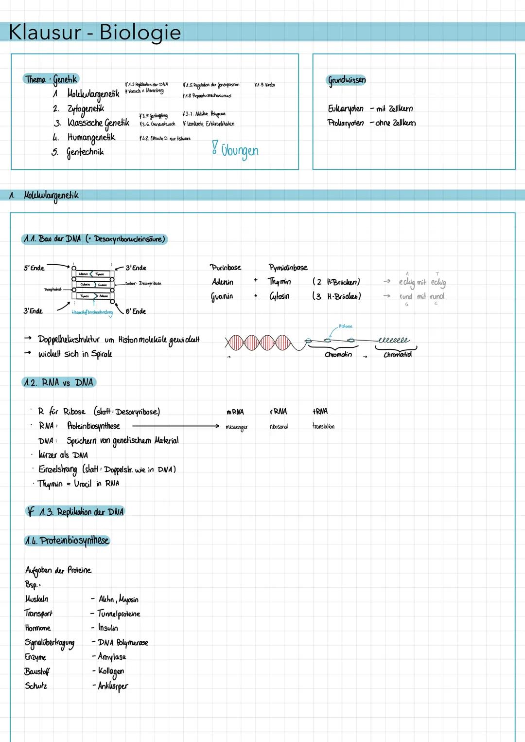 # Klausur - Biologie
## Thema: Genetik
1. Molelwargenetik og
2. Zytogenetik
3. Klassische Genetik
4. Humangenetik
5. Gentechnik
F1.3 Repl